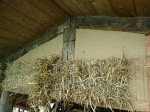 Stroh_0008